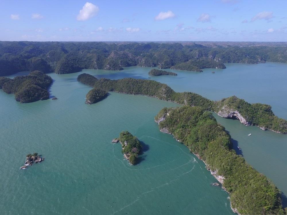 Boat tour through Los Haitises National Park
